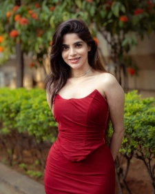 Noida Escort Services